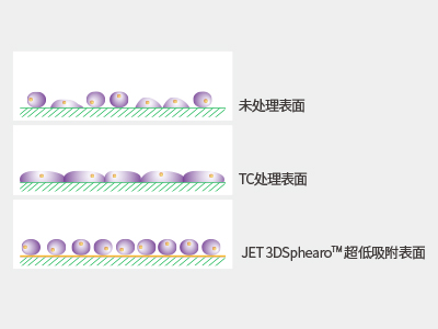 超低吸附表面具有共價(jià)結(jié)合的水凝膠層，具有極強(qiáng)的抗蛋白吸附性和抗細(xì)胞貼壁性，可有效抑制細(xì)胞附著